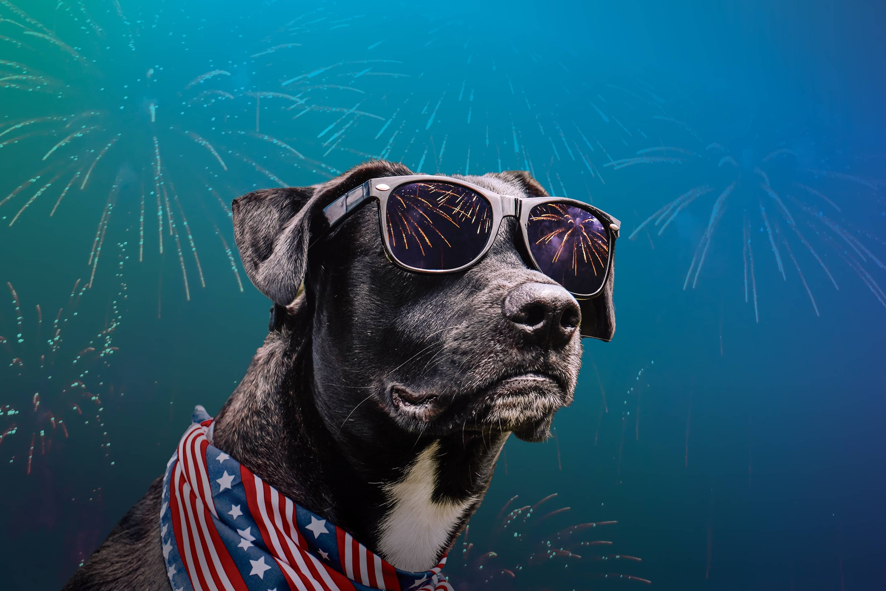 Be Prepared for Fireworks