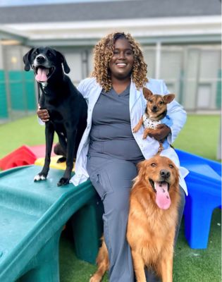 NewDay Veterinary Care Amelia