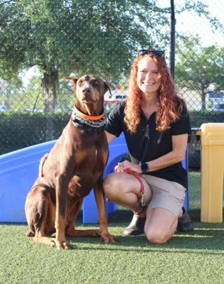 Pet Paradise Bartram Dog Trainer