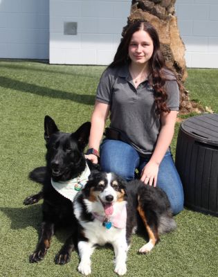 a woman sitting with two dogs
