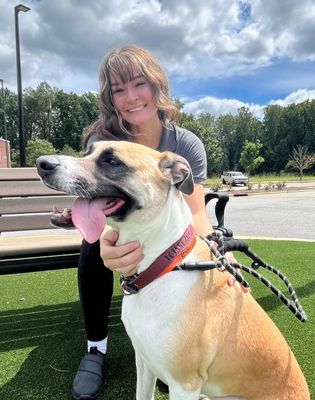 Pet Paradise Wesley Chapel Resort Manager