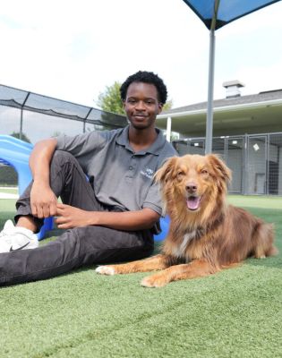 Pet Paradise Ballantyne Assistant Manager