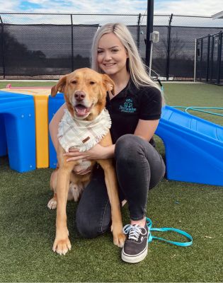 Pet Paradise Ballantyne Resort Manager