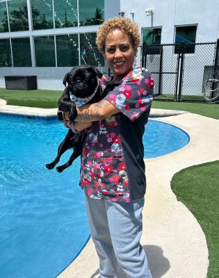 Pet Paradise Coconut Creek Grooming