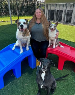 Pet Paradise Gainesville