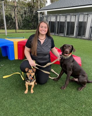 Pet Paradise Ocala Dog Training