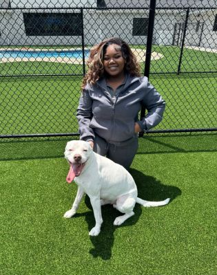 Pet Paradise Lawrenceville Resort Manager