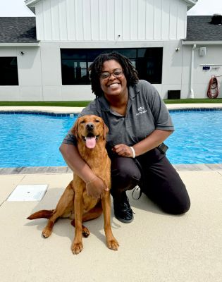 Pet Paradise Murfreesboro Dog Training