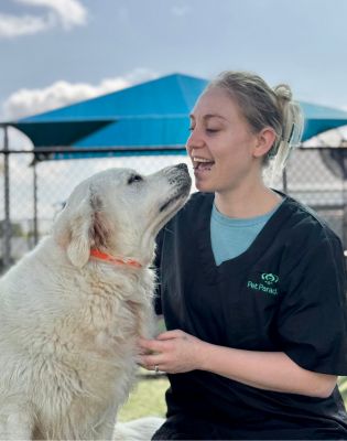 Pet Paradise Oakleaf Grooming