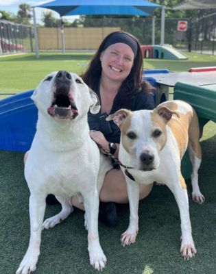 Pet Paradise Ormond Beach