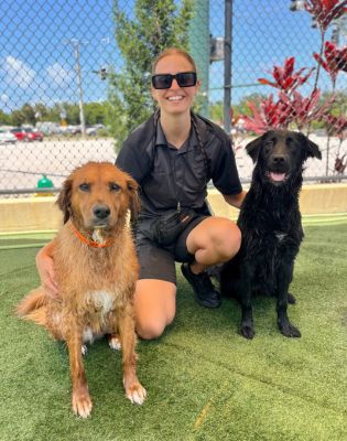 a woman sitting with two dogs