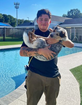 a man holding a dog