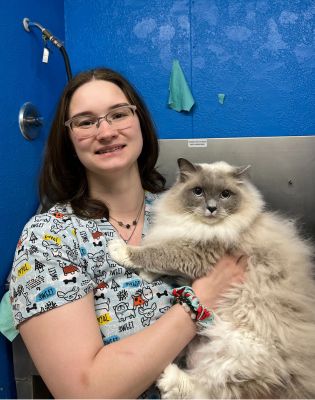 a woman holding a cat