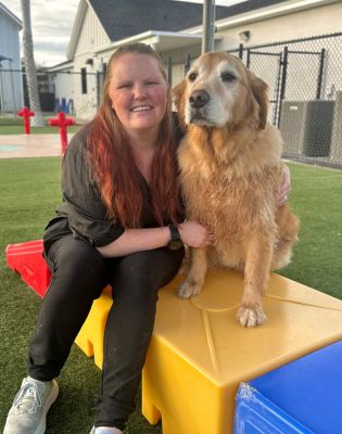 Pet Paradise Ocala Grooming